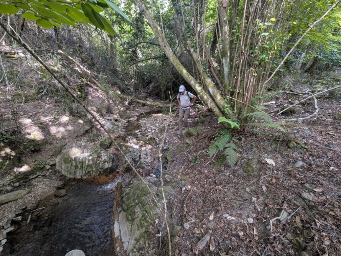 260430 Fuirosos Catchment exploration 065-LR
