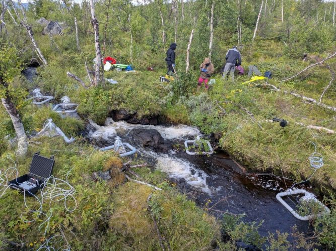 260805 Abisko 002-LR