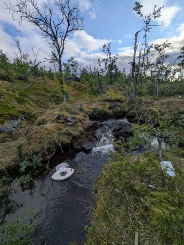 260812 Abisko 001-LR